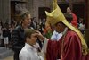 confirmation (135)
